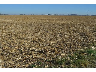 Tract 1 - FARMLAND AUCTION - 165.5+/- ACRES OFFERED IN 5 TRACTS OR COMBINATIONS IN EAST ALLEN COUNTY